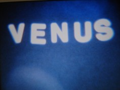 Venus is a Boigürl